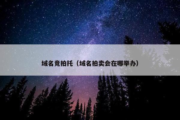 域名竞拍托（域名拍卖会在哪举办）