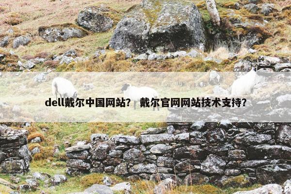 dell戴尔中国网站？ 戴尔官网网站技术支持？
