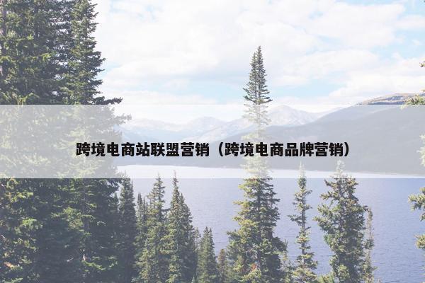跨境电商站联盟营销（跨境电商品牌营销）