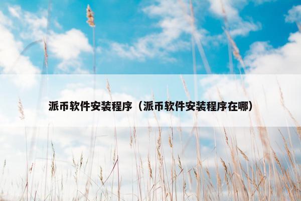 派币软件安装程序（派币软件安装程序在哪）
