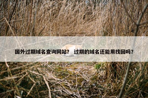 国外过期域名查询网站？ 过期的域名还能用找回吗？