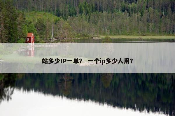站多少IP一单？ 一个ip多少人用？