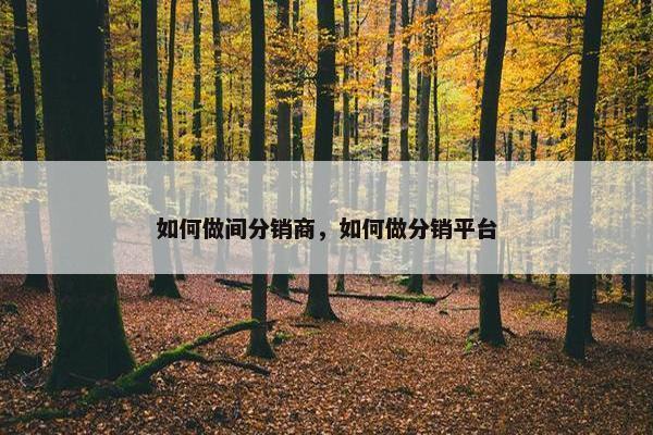 如何做间分销商，如何做分销平台