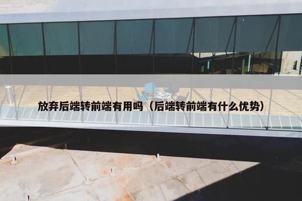放弃后端转前端有用吗（后端转前端有什么优势）
