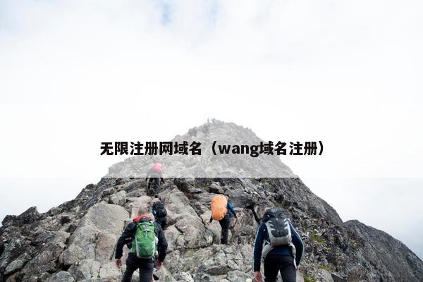 无限注册网域名（wang域名注册）