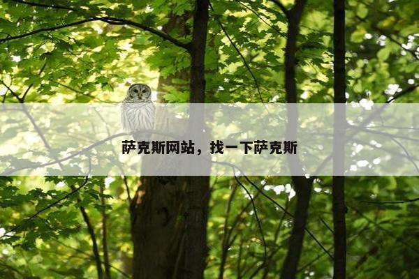 萨克斯网站，找一下萨克斯