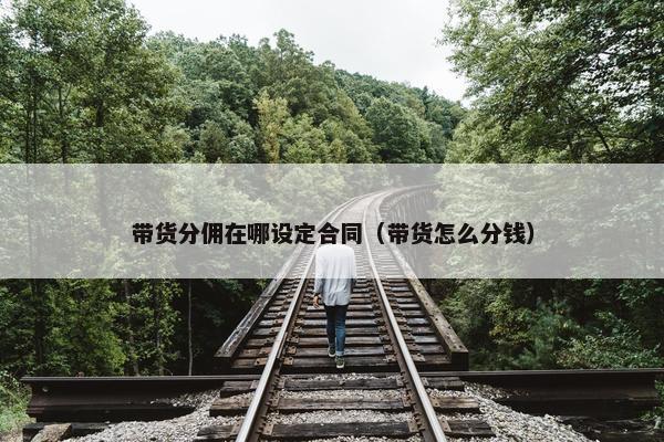 带货分佣在哪设定合同（带货怎么分钱）
