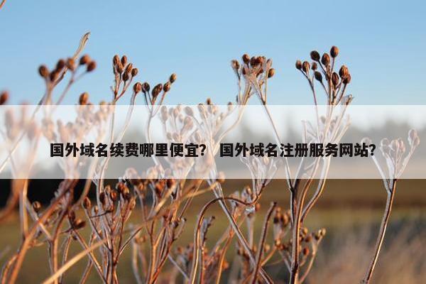 国外域名续费哪里便宜？ 国外域名注册服务网站？