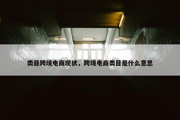 类目跨境电商现状，跨境电商类目是什么意思