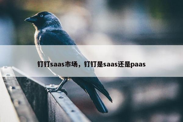 钉钉saas市场，钉钉是saas还是paas
