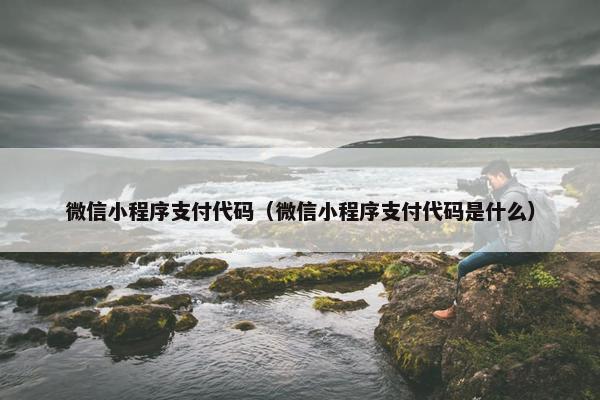 微信小程序支付代码（微信小程序支付代码是什么）
