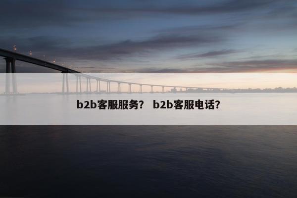b2b客服服务？ b2b客服电话？