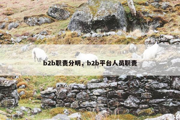 b2b职责分明，b2b平台人员职责