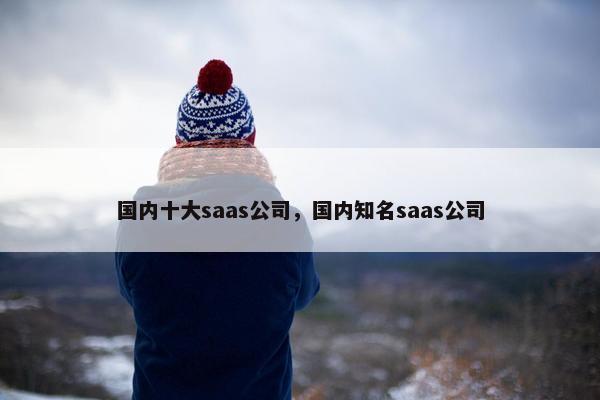 国内十大saas公司，国内知名saas公司