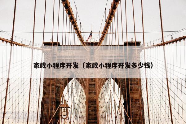 家政小程序开发（家政小程序开发多少钱）