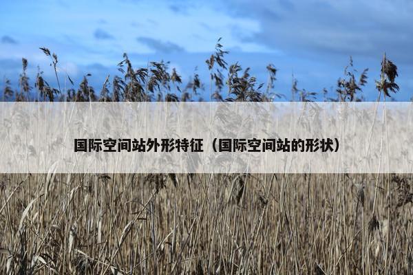 国际空间站外形特征（国际空间站的形状）