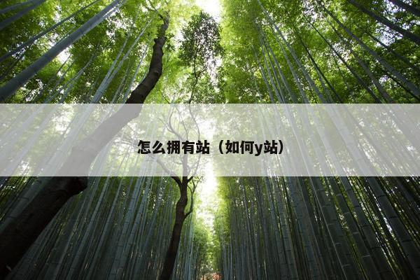 怎么拥有站（如何y站）