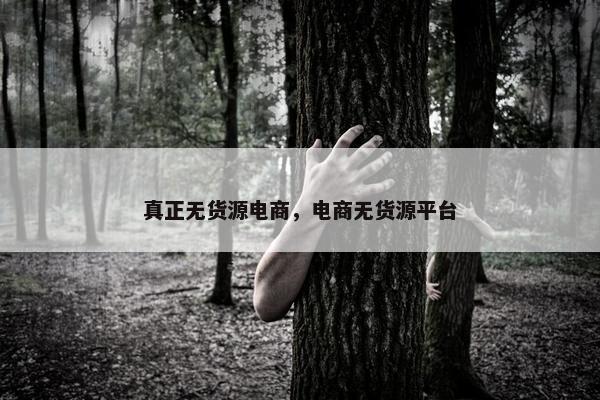 真正无货源电商，电商无货源平台