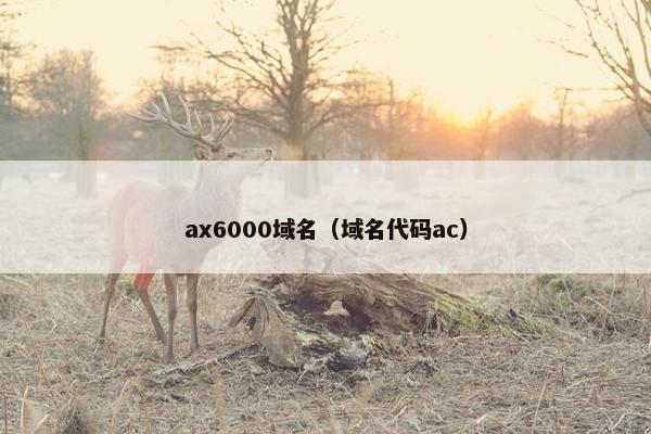 ax6000域名（域名代码ac）