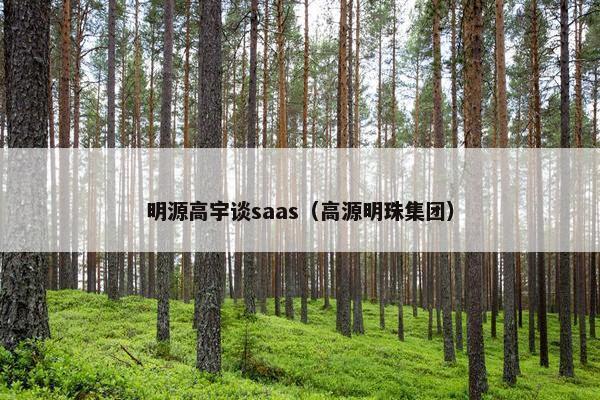 明源高宇谈saas（高源明珠集团）