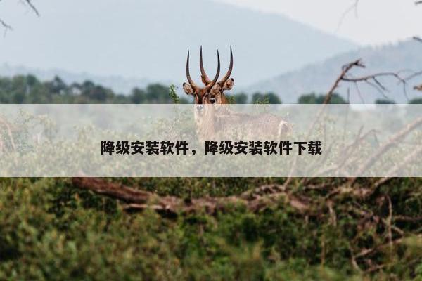 降级安装软件，降级安装软件下载