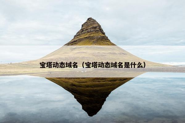 宝塔动态域名（宝塔动态域名是什么）