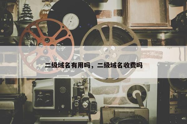 二级域名有用吗，二级域名收费吗