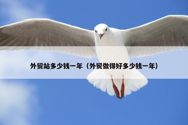 外贸站多少钱一年（外贸做得好多少钱一年）