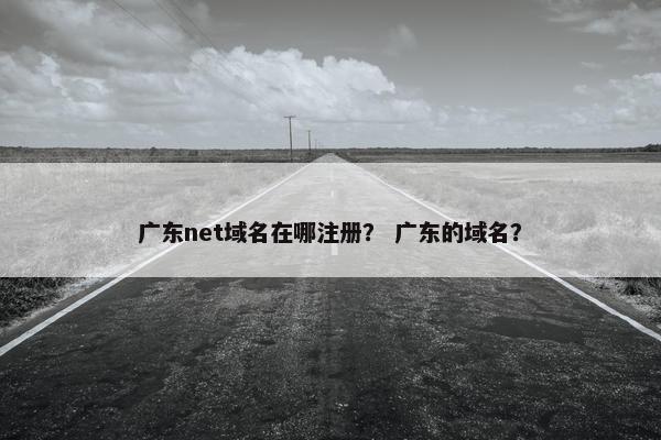 广东net域名在哪注册？ 广东的域名？