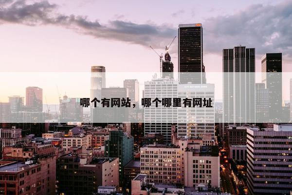 哪个有网站，哪个哪里有网址