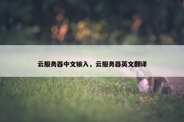 云服务器中文输入，云服务器英文翻译