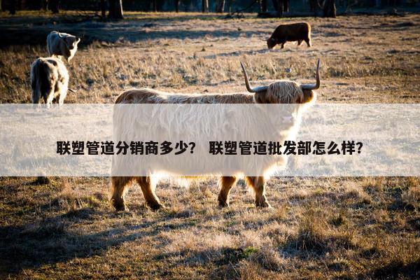 联塑管道分销商多少？ 联塑管道批发部怎么样？