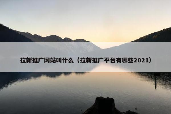拉新推广网站叫什么（拉新推广平台有哪些2021）
