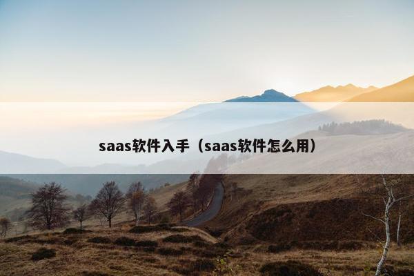 saas软件入手（saas软件怎么用）