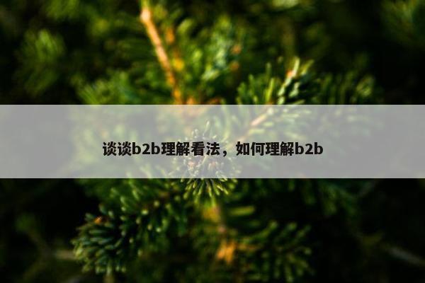 谈谈b2b理解看法，如何理解b2b