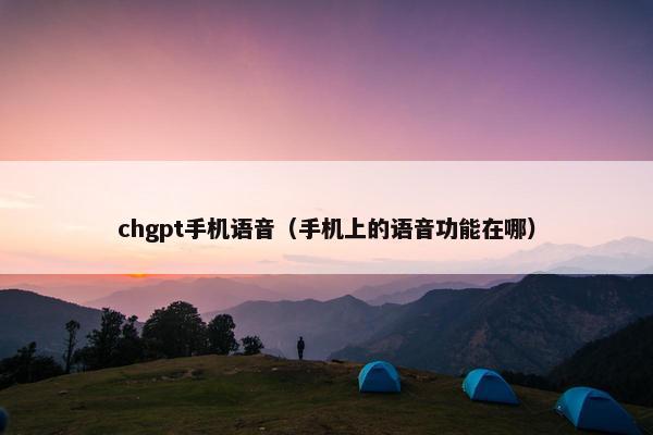 chgpt手机语音（手机上的语音功能在哪）