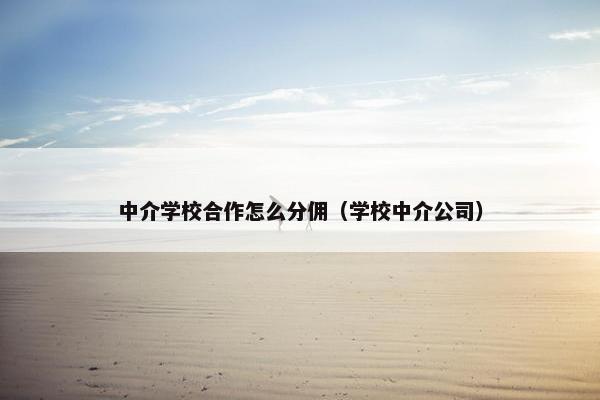中介学校合作怎么分佣（学校中介公司）