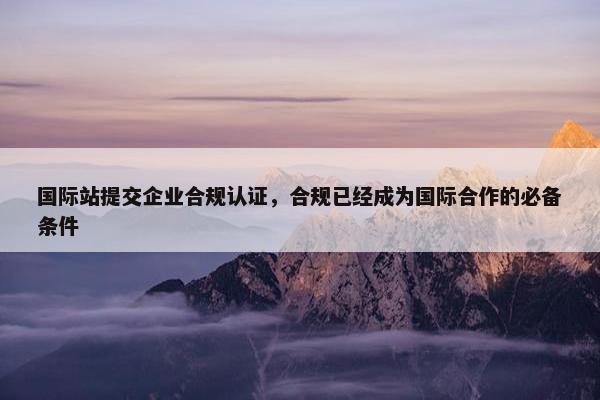 国际站提交企业合规认证，合规已经成为国际合作的必备条件