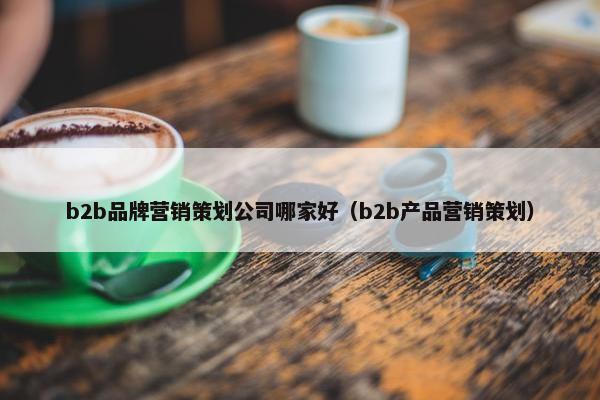 b2b品牌营销策划公司哪家好（b2b产品营销策划）