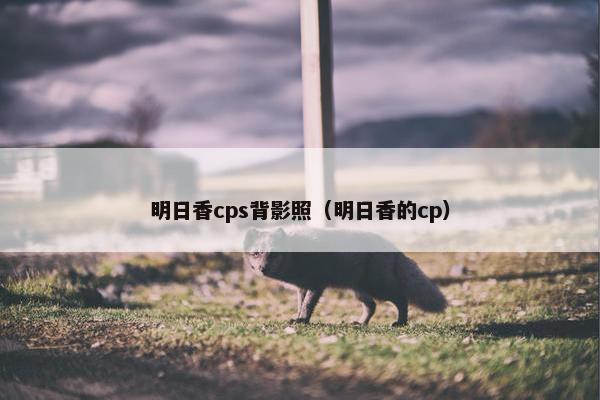 明日香cps背影照（明日香的cp）