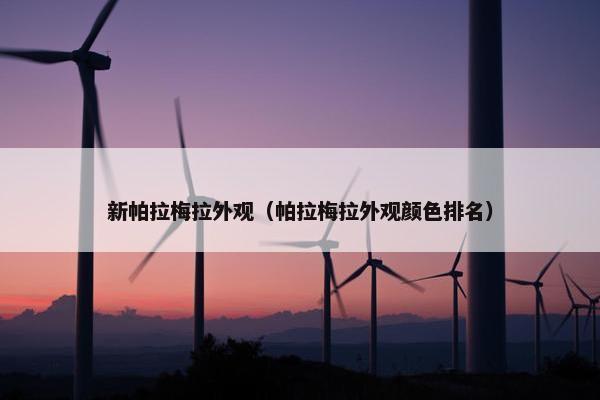 新帕拉梅拉外观（帕拉梅拉外观颜色排名）