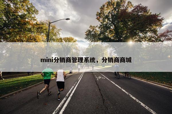 mini分销商管理系统，分销商商城
