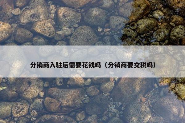 分销商入驻后需要花钱吗（分销商要交税吗）