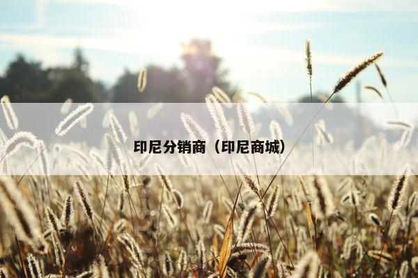 印尼分销商（印尼商城）