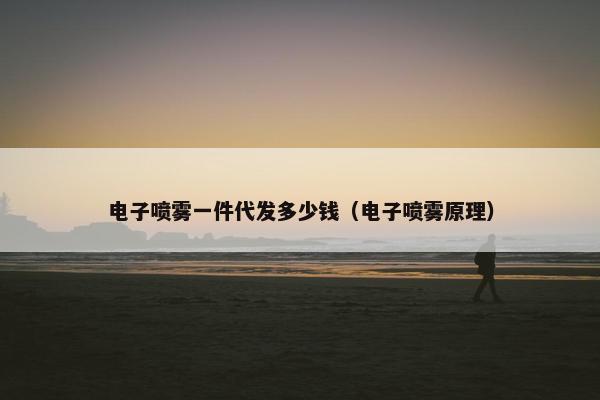 电子喷雾一件代发多少钱（电子喷雾原理）