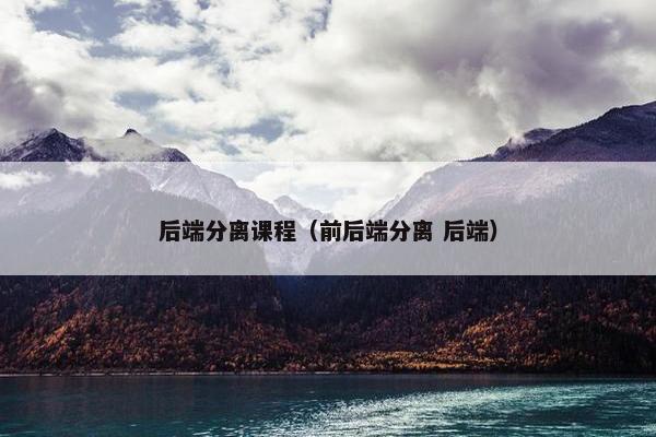 后端分离课程（前后端分离 后端）