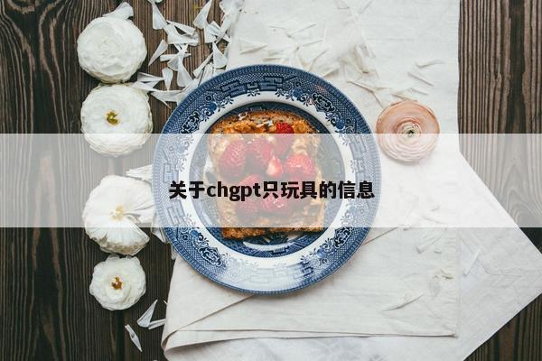 关于chgpt只玩具的信息