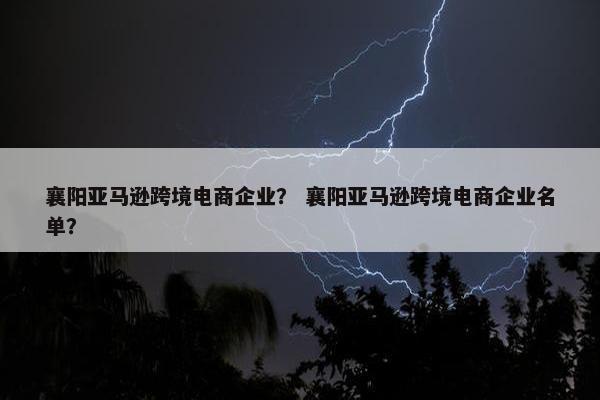 襄阳亚马逊跨境电商企业？ 襄阳亚马逊跨境电商企业名单？