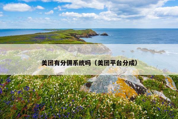 美团有分佣系统吗（美团平台分成）