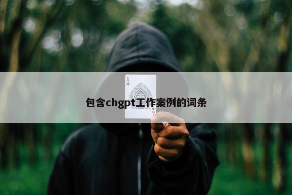 包含chgpt工作案例的词条